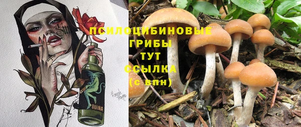 mix Армянск