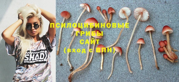 экстази Аркадак